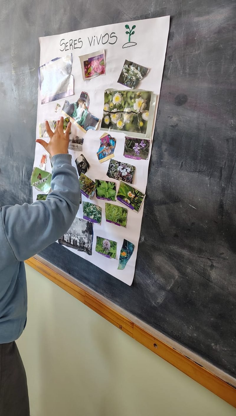 Mano de una alumna con campera celeste que señala un afiche de «Seres vivos» con fotos de plantas y flores, pegado en el pizarrón