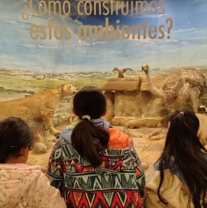 Alumnas de espaldas observan la vitrina de un museo con un puma y un ñandú de la estepa, bajo el cartel «¿Cómo construimos estos ambientes?»